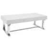 Laila Ali Astrid White Coffee Table -Furniture Series Store laila ali astrid white coffee table