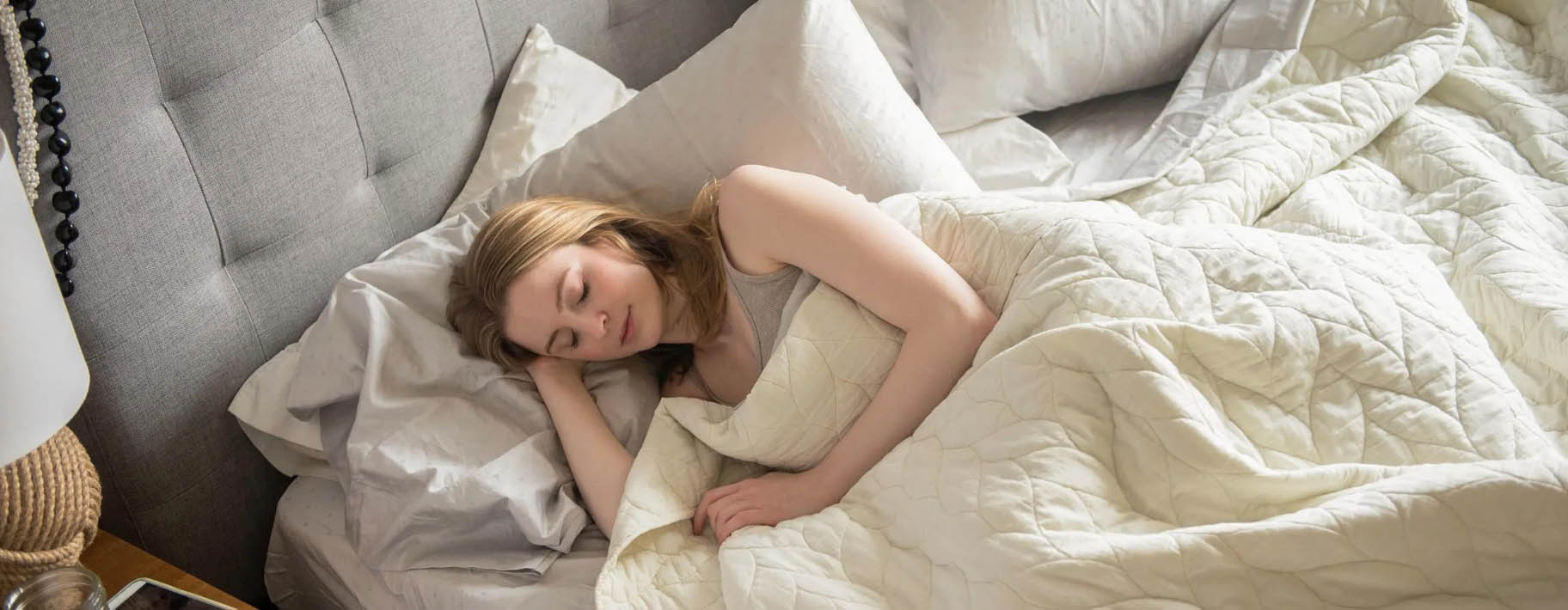 Furniture Series Store -Furniture Series Store dfhgh